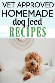 Beef Gourmet Dog Food Recipe Dog Food Recipes Homemade Dog Food Homemade Dog