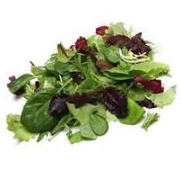 Organic Spring Mix — Melissas Produce