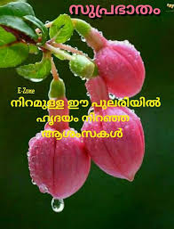 Pin By On Good Morning In Malayalam Good Morning Greetings Good Morning Wishes Good Morning Quotes Features of good morning messages and images are: pin by on good morning in malayalam