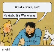 25 Best Memes About What A Week What A Week Memes