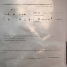 Can a recessive trait be on the y chromosome. Look At The Following Pedigree For A Sex Linked Trait Chegg Com