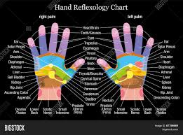 Hand Reflexology Vector Photo Free Trial Bigstock