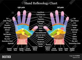 hand reflexology vector photo free trial bigstock