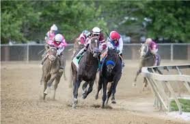 Houses need different types like 10 biggest 2021 kitchen design trends revealed tlc interiors of residence decors for them to look appealing to guests. What We Learned Medina Spirit Deserves A Pass For Preakness