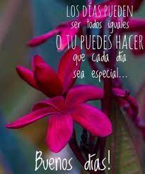 Buenas Noches Archivos Frases De Sarcasmo Saludos De Buenos Dias Postales De Buenos Dias Feliz Viernes Frases