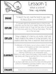 All About Birds For Kindergarteners And First By Kristen Smith Teachers Pay Teachers Kindergarten Student Learning Teachers Pay Teachers