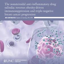 Image result for Sulindac