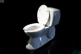 Gut ausgebaute abortanlagen gab es bereits um 2800 v. Japan Will Die Vernetzte Toilette Weltweit Popular Machen Nzz