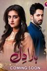 Haara Dil