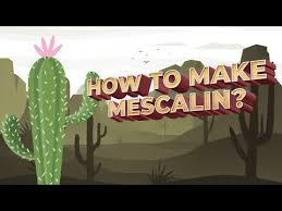 You can, but i would only recommend doing it if you own the cactus and it's inside your home. How To Make A Mescalin In San Pedro Dried Version Turkish English Youtube