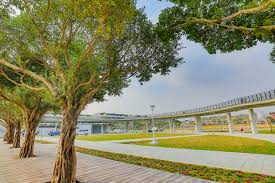分館網站 總館 高雄文學館 鼓山分館 旗津分館 右昌分館 左營分館 三民分館 新興分館 新興民眾閱覽室 鹽埕分館 前鎮分館 寶珠分館 南鼓山分館 苓雅分館. è¦ªå­æ—…éŠ å°æ¸¯æ£®æž—å…¬åœ' é«˜é›„æ—…éŠçŽ‹