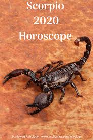 Scorpio 2020 Horoscope Scullywag Astrology Astrology Scorpio Scorpio Ascendant