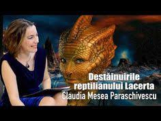 Join to listen to great radio shows, dj mix sets and podcasts. 11 Claudia Mesea Paraschivesci Ideas Youtube Entertainment Teorie