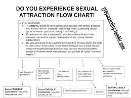 Sexual Attraction Flowchart Best Explanation Of Sexual
