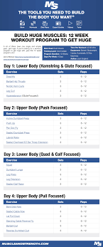 Build Huge Muscles 12 Week Workout Program To Get Huge Dumbbell Only Workout Dumbbell Workout Fitness Body