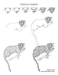Learn To Draw Animals On Exploringnature Org Leopard Drawing Drawing Lessons Drawings