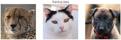 Import torch.nn as nn import torch.nn.functional as f class model (nn. Dealing With Overconfidence In Neural Networks Bayesian Approach Jonathan Ramkissoon