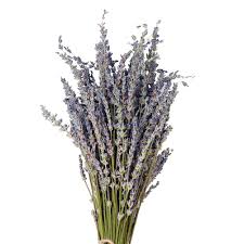 Lavender doesn't boast big, blooming petals, but it still has plenty to offer for your wedding. Quuy Natural Dry Lavender Bunch Dried Flower Decorative Flowers Bouquet For Wedding Home Decorations 1 Bundle Pack Buy Online In Guernsey At Guernsey Desertcart Com Productid 120551648