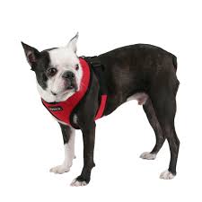 Puppia Soft Dog Harness