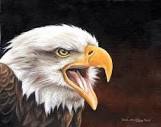 Amazon.com: Posterazzi Bald Eagle Painting Poster Print by Sarah ...