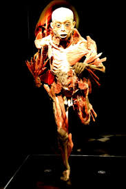 Politistii clujeni au declansat, miercuri, o ancheta in urma unei plangeri penale privind profanarea de cadavre la institutul de medicina legala (iml) cluj. Expozitie De Cadavre Umane Cum Arata Mortii Vii Galerie Foto Mobile