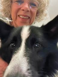 The disapproval of my girl Lena is HIGH for her spa day! Sorry, not sorry  Lena. You were stinky! #corgi #silentjudgement