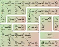 Kibble Recipes Ark Pachy Related Keywords Suggestions