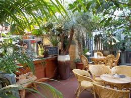 Jeśli film się tobie podobał kliknij lubię. Le Cafe Dans Les Serres Picture Of Palmiarnia Poznanska Palmenhaus Poznan Tripadvisor