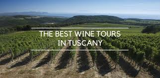 Best way to visit wineries in tuscany. The Best Wine Tours In Tuscany My Travel In Tuscany