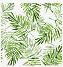 Discover and download free palm leaves png images on pngitem. Green Palm Leaves Png Transparent Palm Leaves Pattern Png Free Transparent Png Download Pngkey