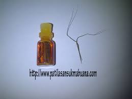 Membuat minyak bulu perindu warisan leluhur bulu perindu merupakan sarana untuk pengasihan, dan yang bagus adalah bulu. Pengobatan Dan Khasiat Herbal Khasiat Minyak Bulu Perindu