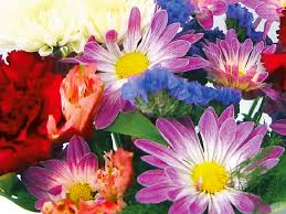 15 coupons and 2 deals which offer 20% off and extra discount, make sure to use one of them when you're shopping for winndixie.com. In Store Services