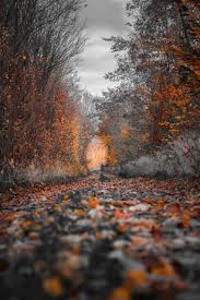 Hd wallpapers and background images. Cb Background Free Hd Wallpaper Images For Android Apk Download