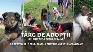 1:07:04 ziar piatra neamt 1 212 просмотров. O NouÄƒ EdiÈ›ie A Targului De AdopÈ›ii De Caini La Piatra NeamÈ› AdministraÈ›ie