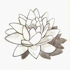 Black And White Water Lily Flower Tattoo Lily Tatto Ideas Water Lily Tattoos Flower Tattoo Drawings Lily Tattoo Design