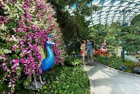 We did not find results for: Shop Jewel Changi Airport