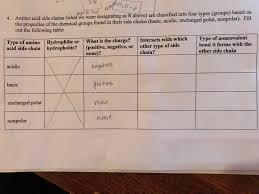 Solved How To Identify Amino Acid Side Chains I Am Havin