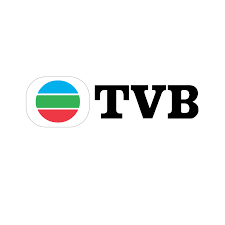 Onlineif your traffic violations ticket (tvb) traffic ticket is lost or destroyed, you can print a substitute online. Television Broadcasts Limited Tvb ç„¡ç¶«é›»è¦– é¦™æ¸¯ E Spin Group