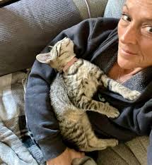 Fostering a sweet, playful, and cuddly kitty through