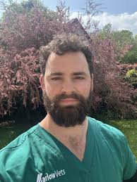 Hero vets race to scene of Wye Valley crash