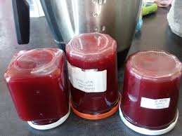 Les mettre dans une grosse casserole avec un verre d'eau. Gelee De Groseille Au Thermomix