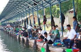 Telaga Arwana Menikmati Aktivitas Pedesaan Di Tengah Metropolitan