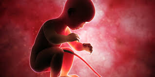 What does the fetal maternal medicine center do? Fetal Medicine Dubai Fetal Medicine Scans Dubai