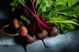 We did not find results for: How To Grow Glorious Beets Okra In My Garden