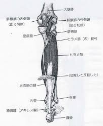 Kredit umožní i stahování neomezenou rychlostí. ãƒ'ãƒ©ãƒ¡ç­‹ æˆ¸å¡šé¼ç¸é™¢ ãƒ–ãƒ­ã‚°ç‰ˆå…¬å¼hp