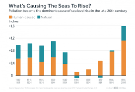 Carbon Pollution Seen As Key Driver Of Sea Level Rise