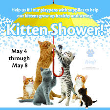Dezeen awards is the architecture, interiors and design awards programme organised by dezeen, the world's most popular design magazine. Kitten Shower May 4 8 2021 Mrfrs The Merrimack River Feline Rescue Society