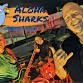 Aloha Sharks | Mattison's City Grille event in Bradenton, FL