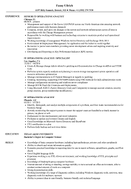 it operations, analyst resume samples
