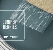 JUNIPER BERRIES PPU13-02 | Behr Paint Colors